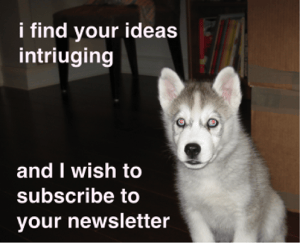 i-wish-subscribe-newsletter